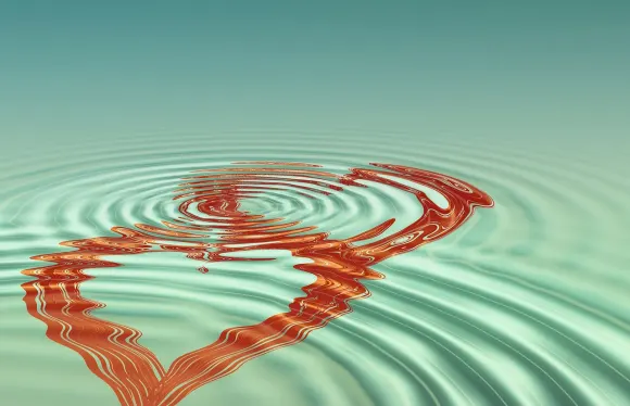 카지노 비트코인 펭귄 지원